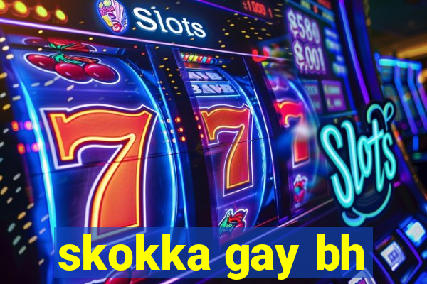 skokka gay bh